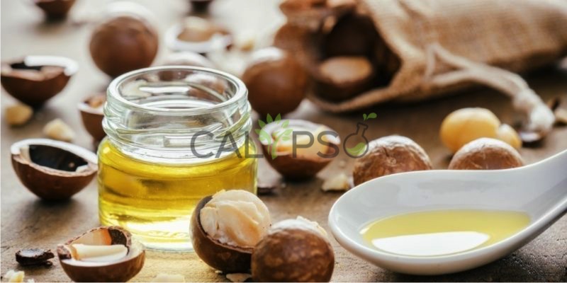 Minyak Pembawa Macadamia
