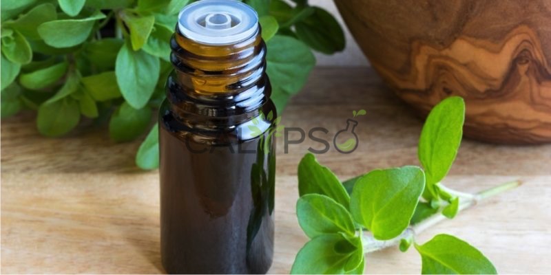 Minyak Marjoram