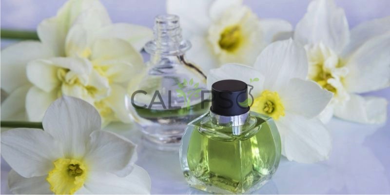 Minyak Absolut Narcissus