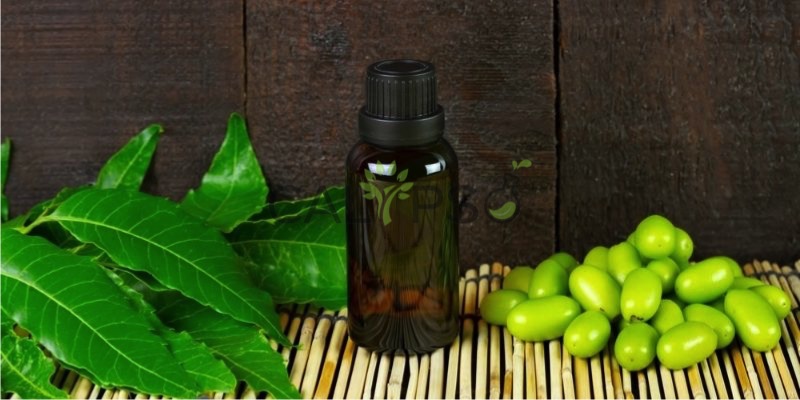 Óleo Transportador De Neem