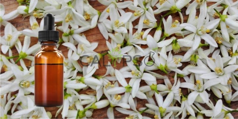 Neroli Oil