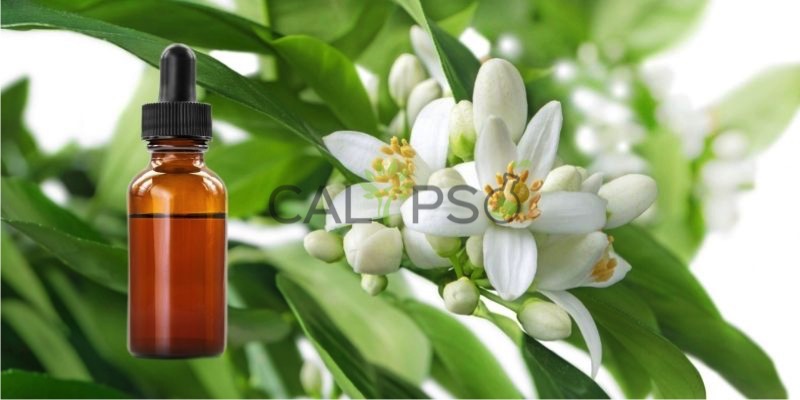 Neroli Oil