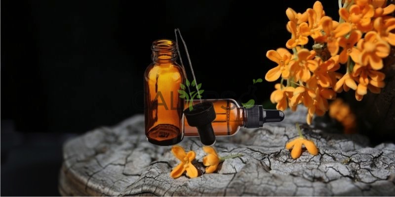 Osmanthus Absolute Oil