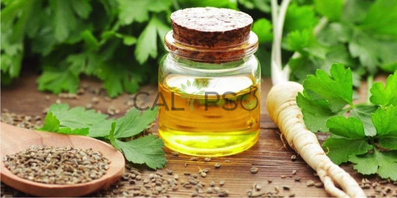 Parsley Seed Oil