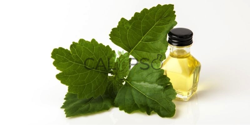 Patchouli Oil