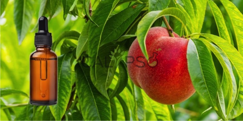 Peach Tree Leaf Absolute Oil