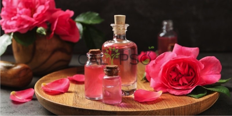 Tinh DầU Hoa HồNg TuyệT ĐốI