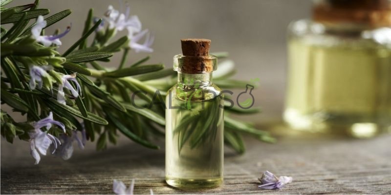 Minyak Rosemary