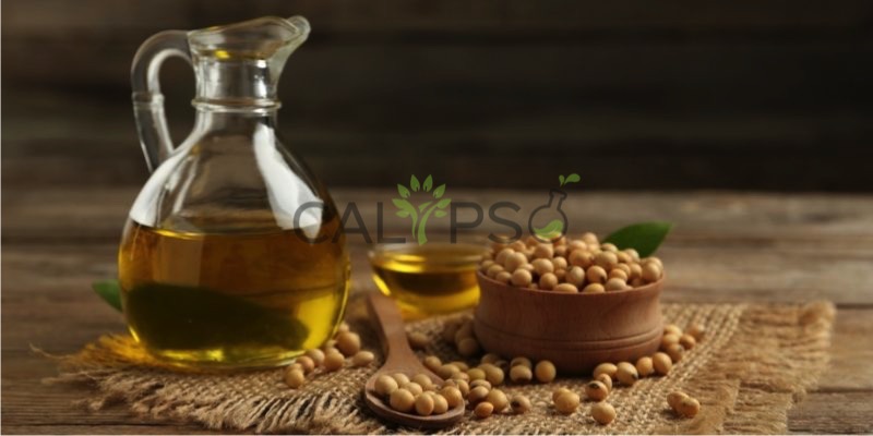Soya Fasulyesi Taşıyıcı Yağ