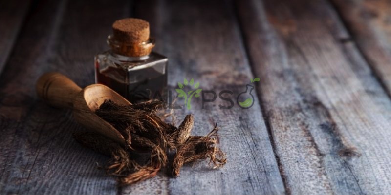 Minyak Spikenard