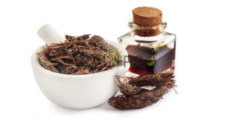 Spikenard Oil