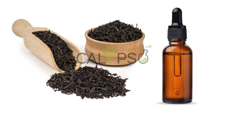 Tea Black Absolute Oil
