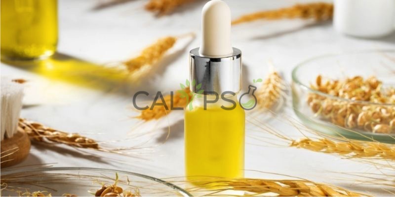 Minyak Pembawa Gandum